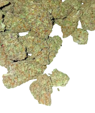 Premium AA flowers category Cbd Logistics Europe