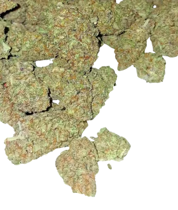 Premium AA flowers category Cbd Logistics Europe