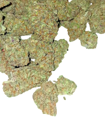 Premium AA flowers category Cbd Logistics Europe