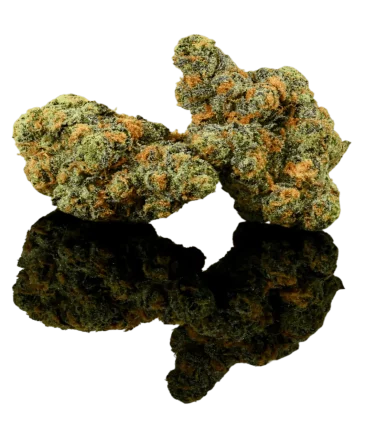 Super Premium AAA flowers category cbdlogistics Europe