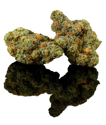 Super Premium AAA flowers category cbdlogistics Europe