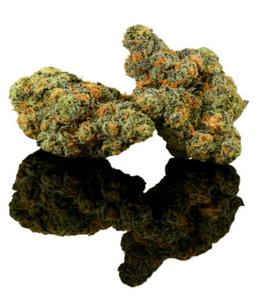 Super Premium AAA flowers category cbdlogistics Europe