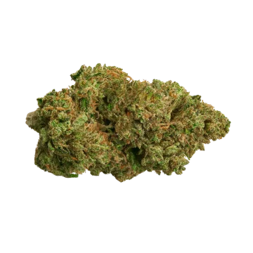 OG Kush A CBD flower Swiss quality wholesale Europe