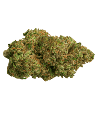 OG Kush Indoor Classic A CBD flower Swiss quality wholesale Europe