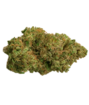 OG Kush A CBD flower Swiss quality wholesale Europe