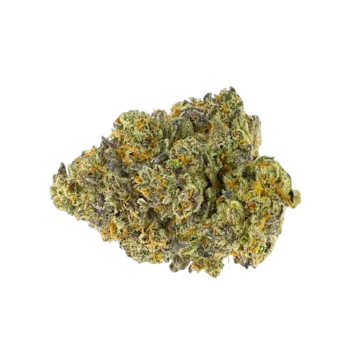 Orange Fritter indoor CBD flower Super Premium AAA Europe