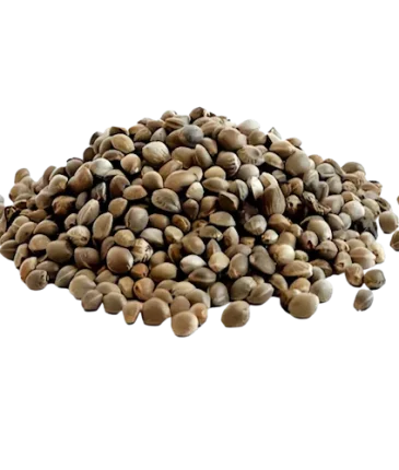 Certified seeds category cbdlogistics Europe