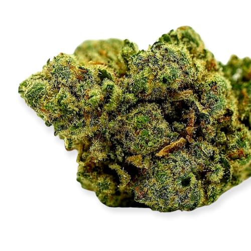 Indoor Strain that rapresent Cbd Logistics Europe